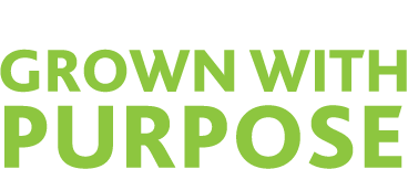 Six Signs you are Grown With Purpose